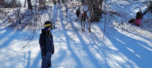 Tracking Animal Footprints in the Snow